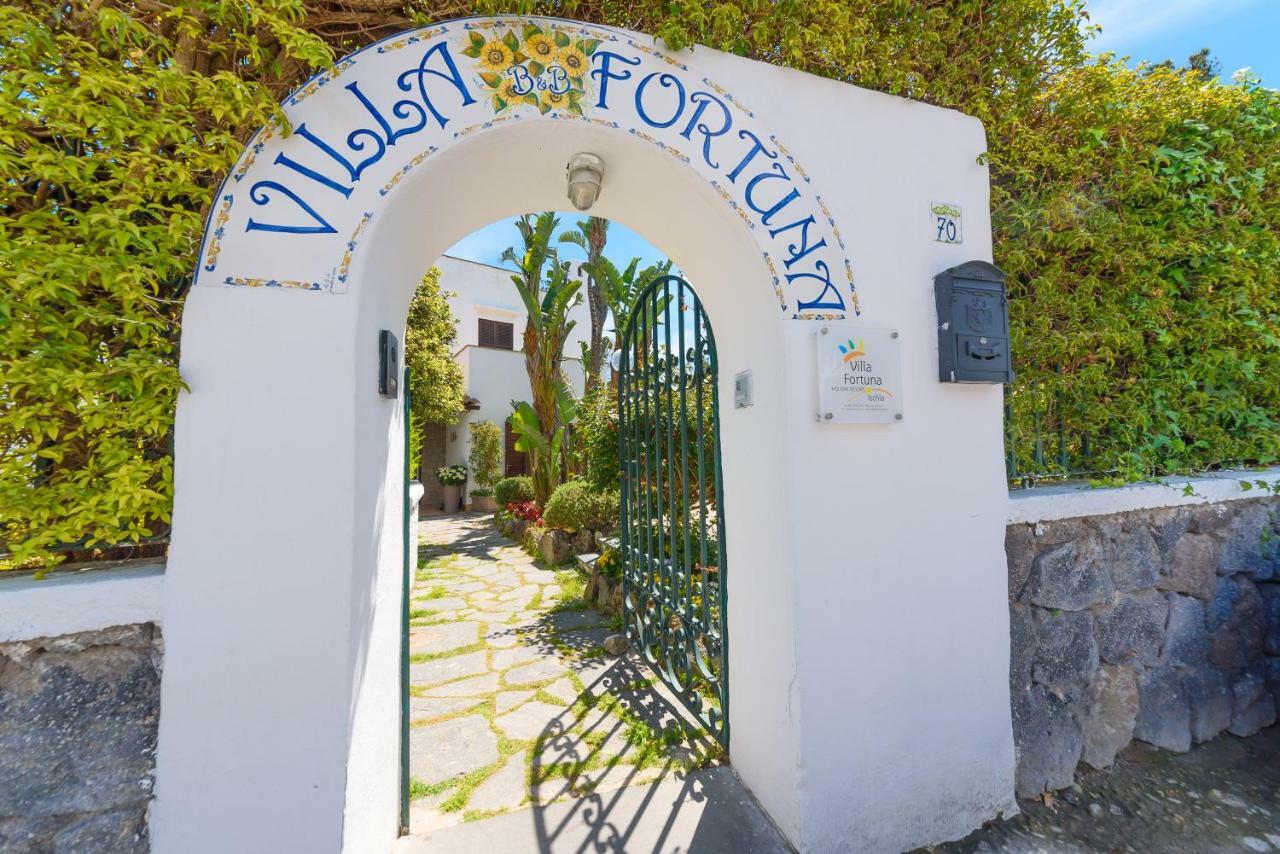 Villa Fortuna Holiday Resort Ischia Kültér fotó